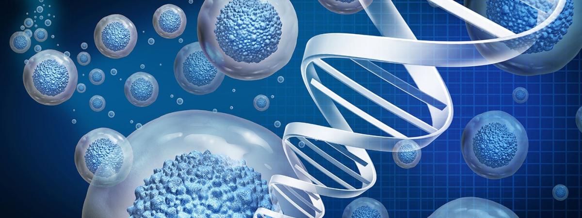 Tissue-engineering