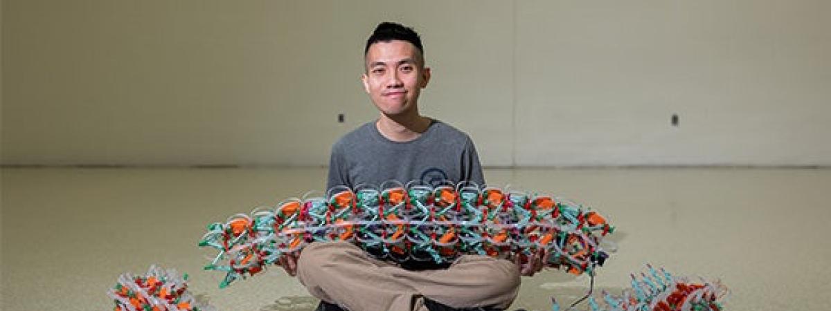 rise of robotics