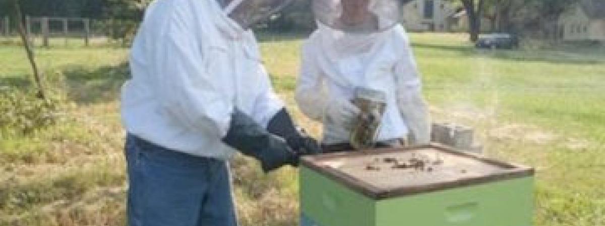 beekeeping