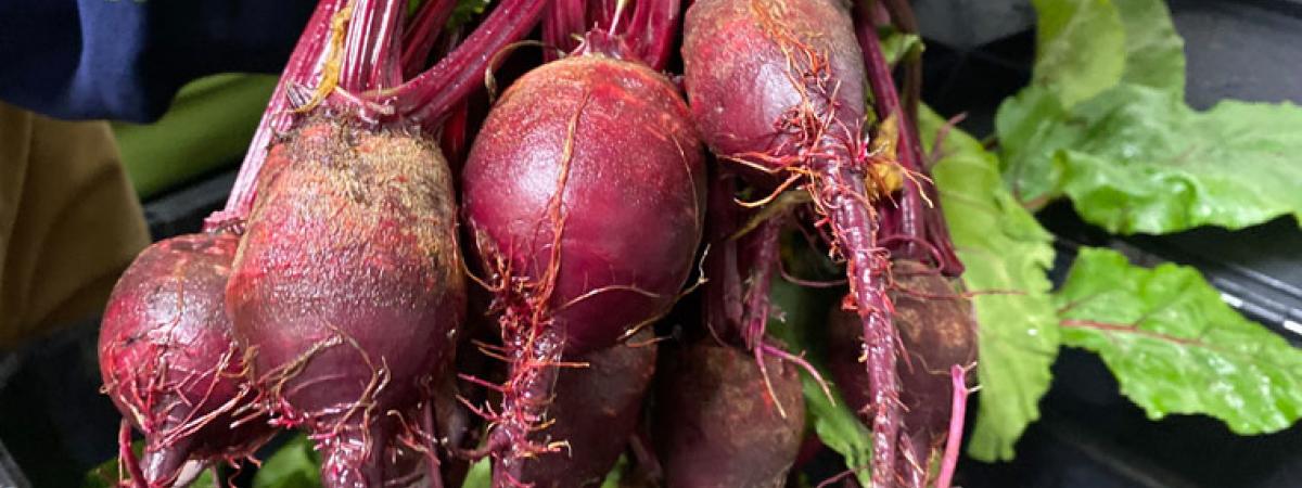 beets