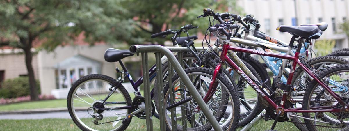 bikes