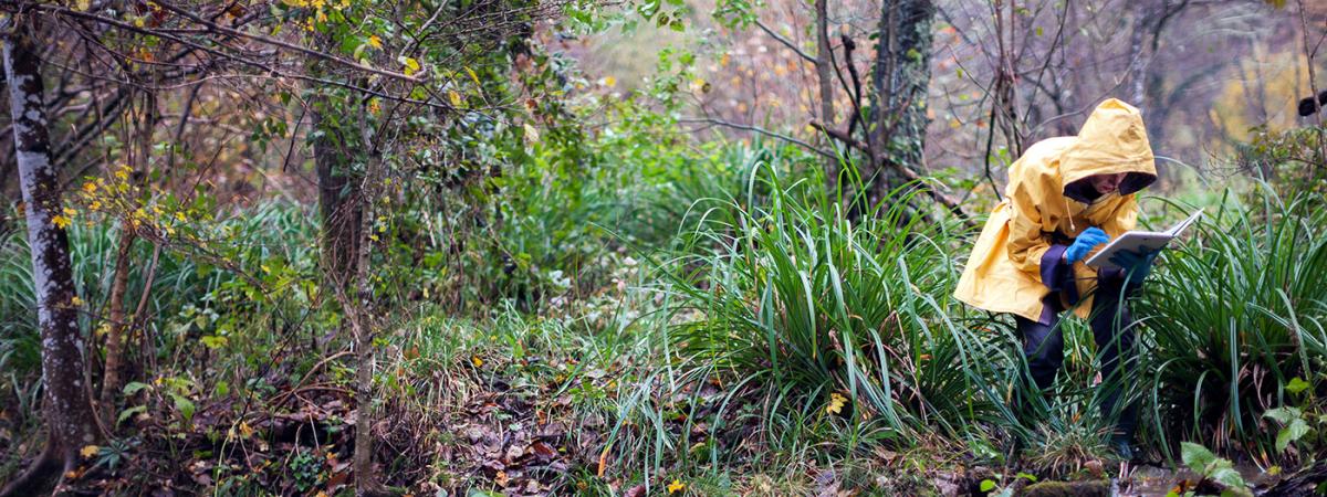 biologist_woods