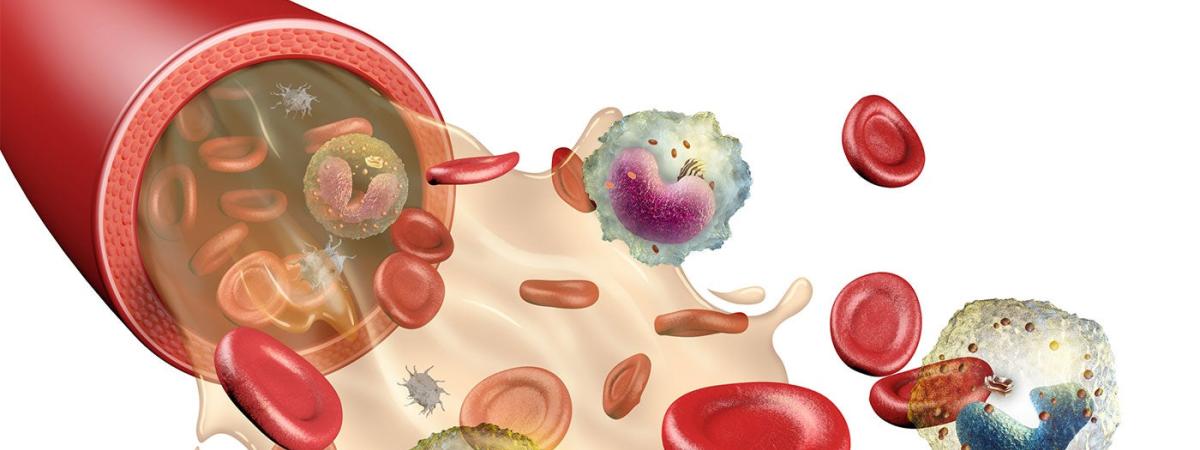 blood_components