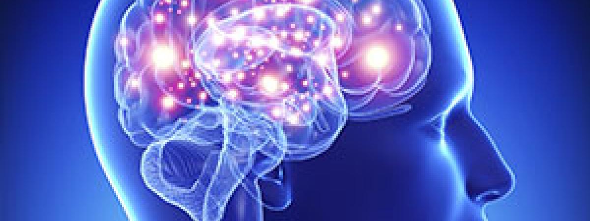 brain-neurons-feat