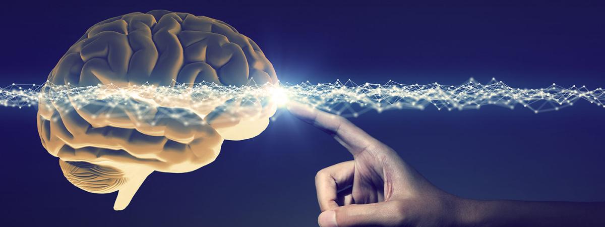 brainMapillo