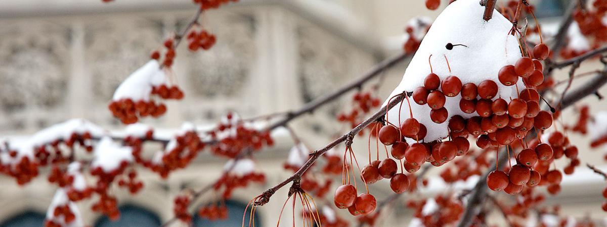 campus-winter