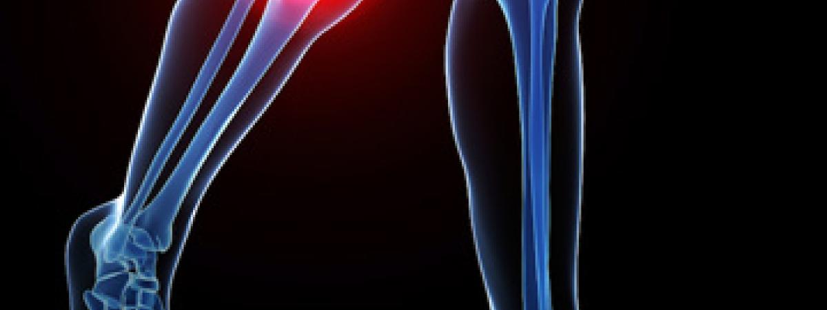 cartilage-knees
