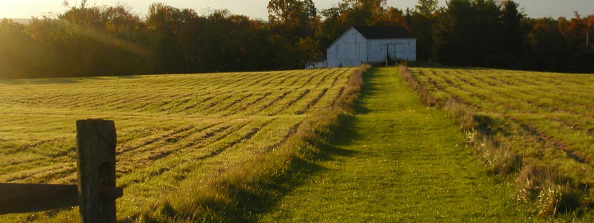case-farm