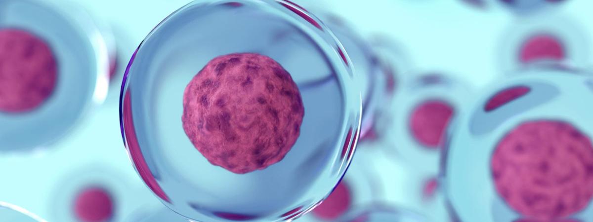 cell-illustration-feat