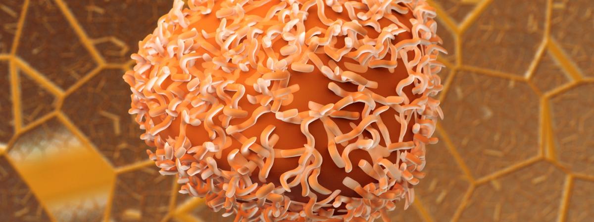 colon-cancer-cells