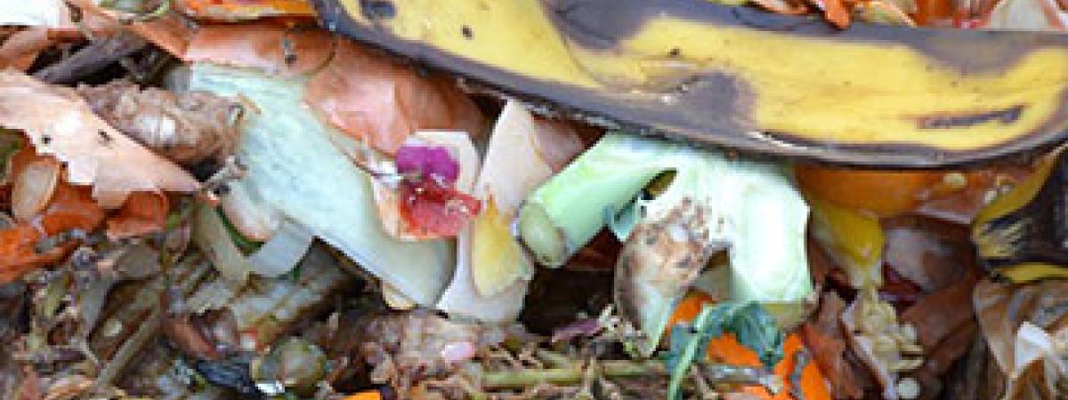 compost