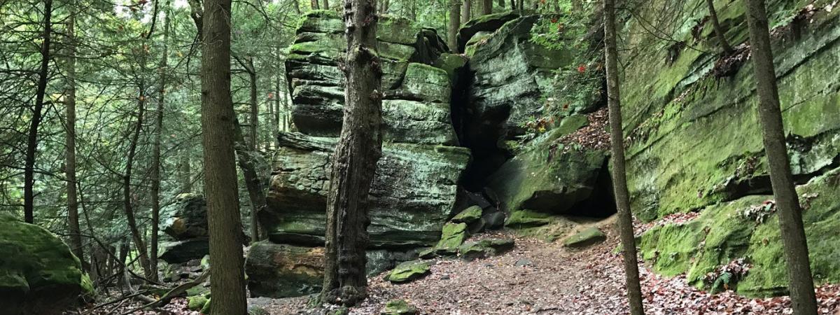 cvnp-feat