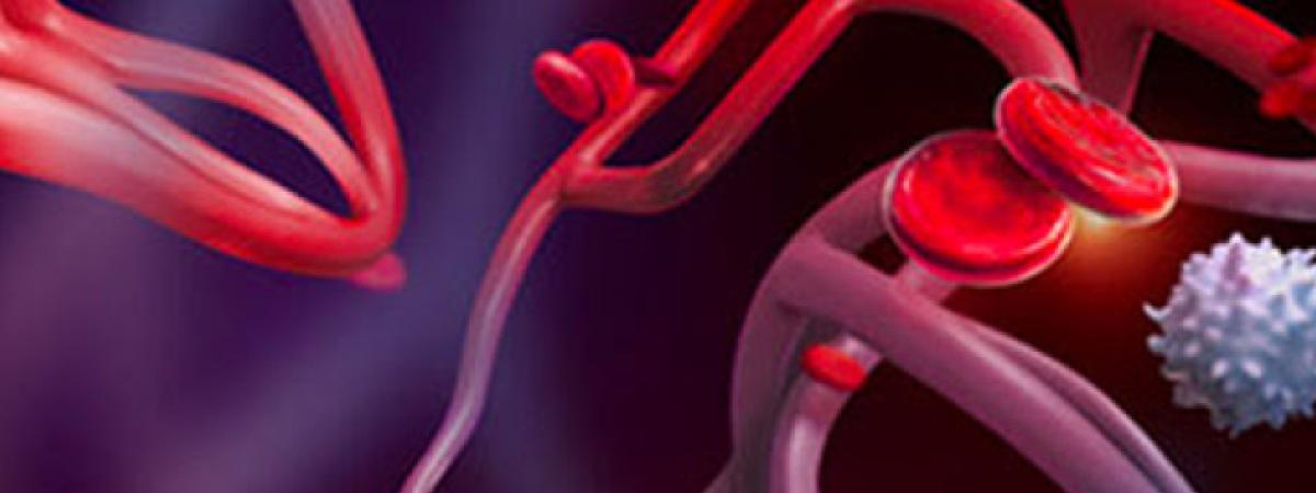 blood-cells.jpeg