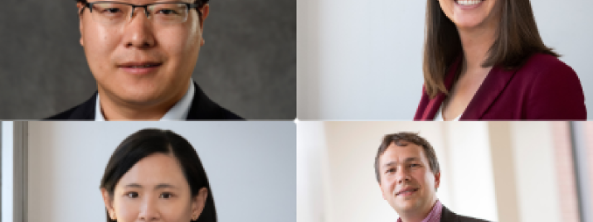 veale-faculty-fellows.png