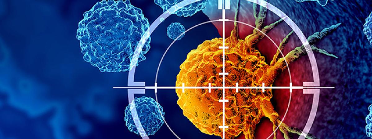 169cancertarget.jpg
