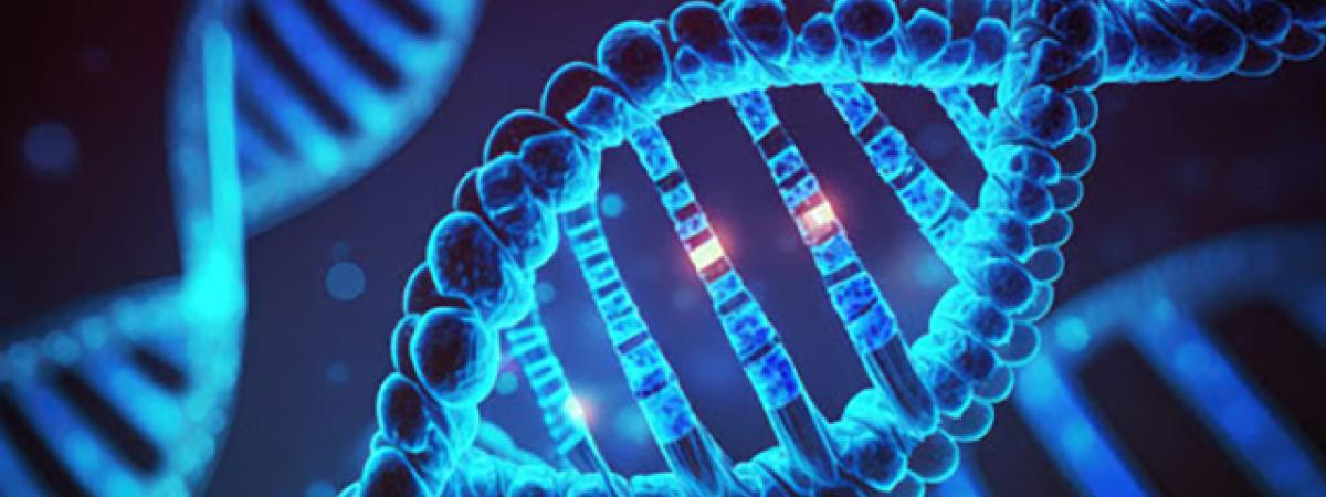 169genomestock.jpg