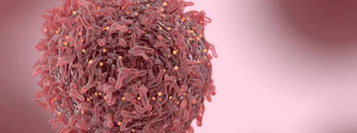 169pinkcancercell.jpg