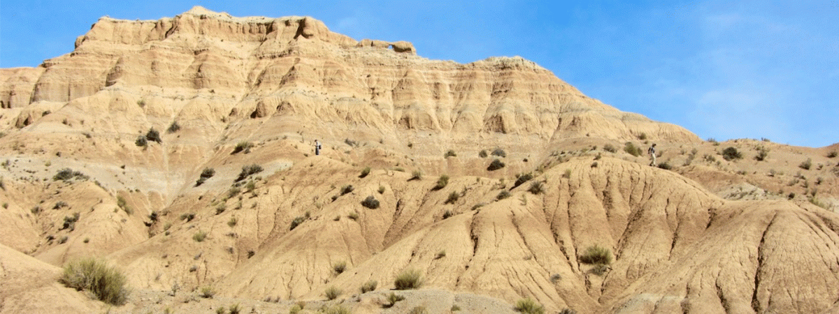 2024.10-Croft-QHB-landscape.gif