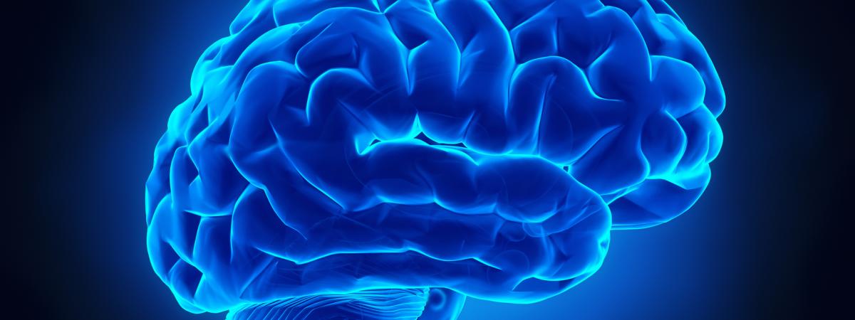 Blue%20Brain.jpg