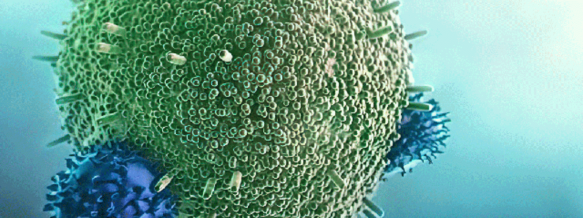 Cancer-receptor.gif