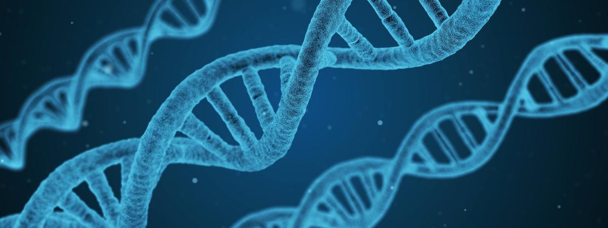 dna-1811955_1920.jpg