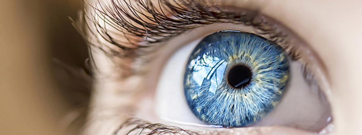 eye.jpg