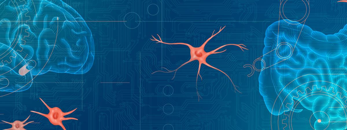 glial-feat.jpg