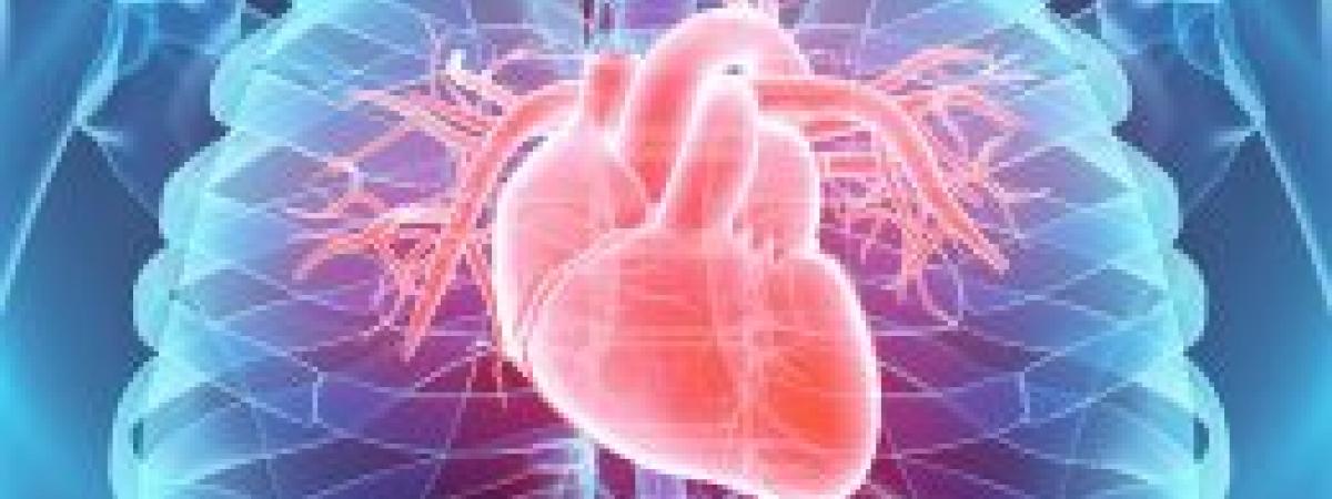 heart-feat-260x170.jpeg