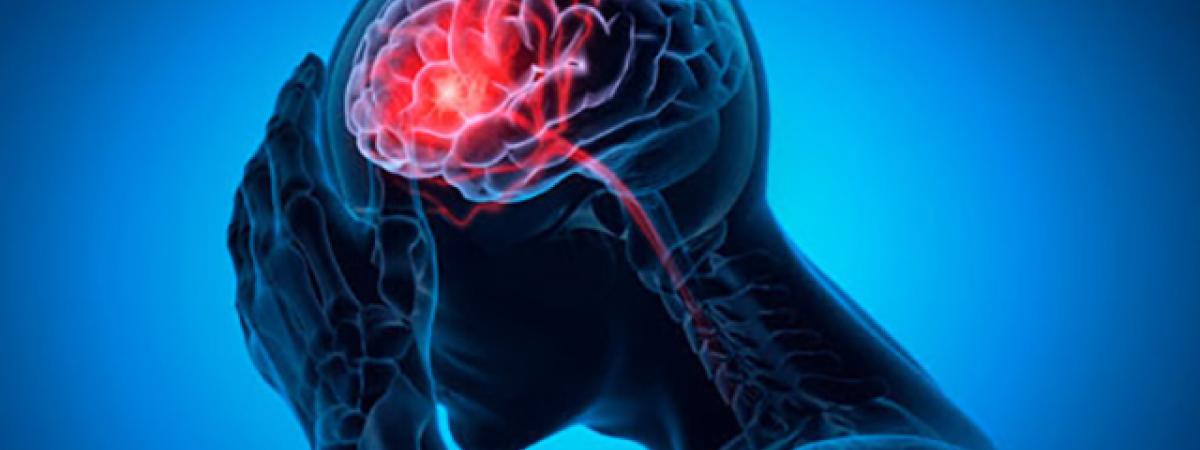 stockbrain169.jpg