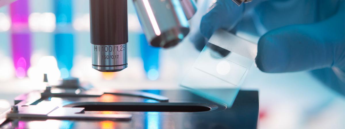 digital_pathology