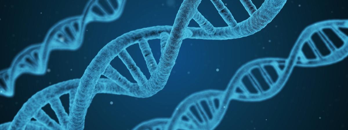 dna-1811955_1920-1