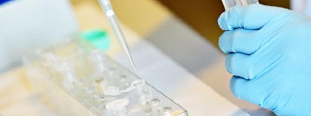 dna-testing