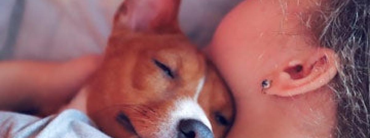 dog-sleeping