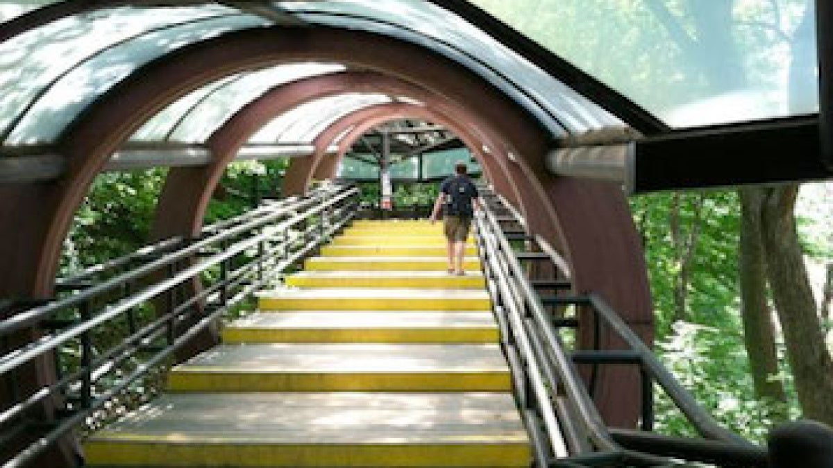 elephant-stairs