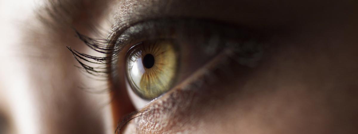 eye