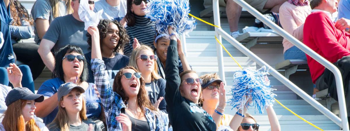 fans-cheering-feat