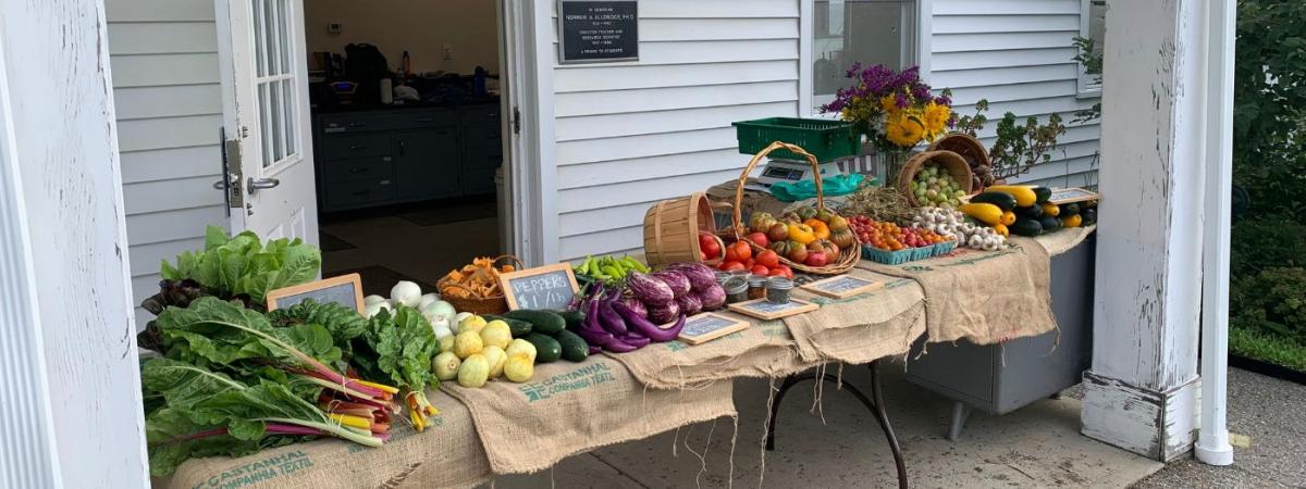 farm-stand-1