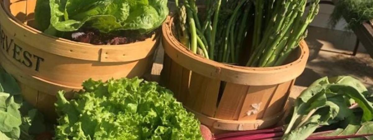 farm-stand