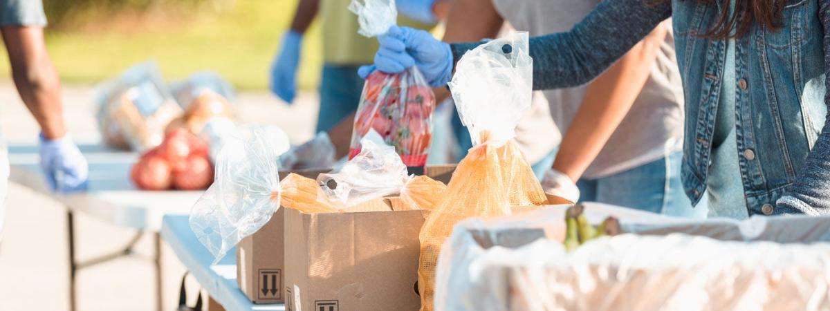food-drive-feat