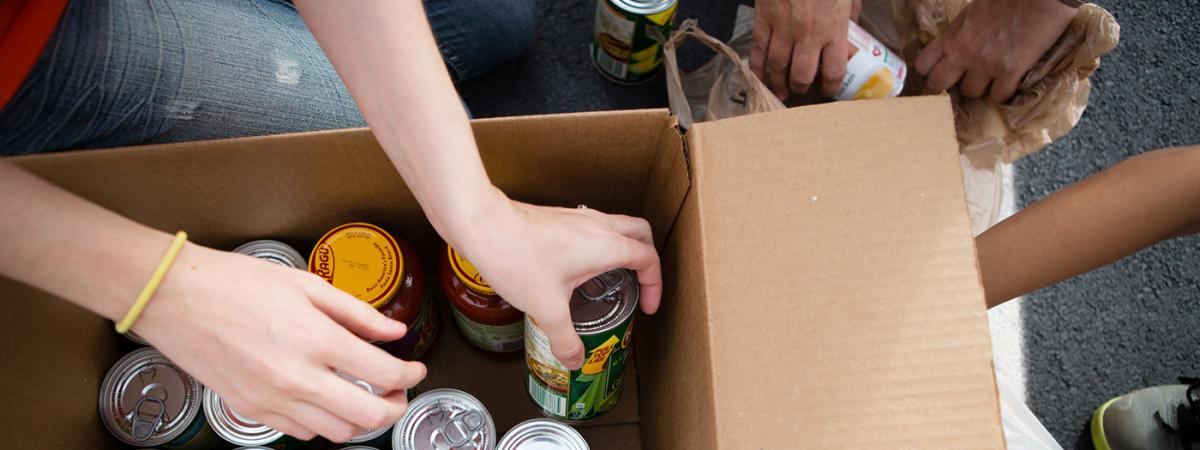 food-drive