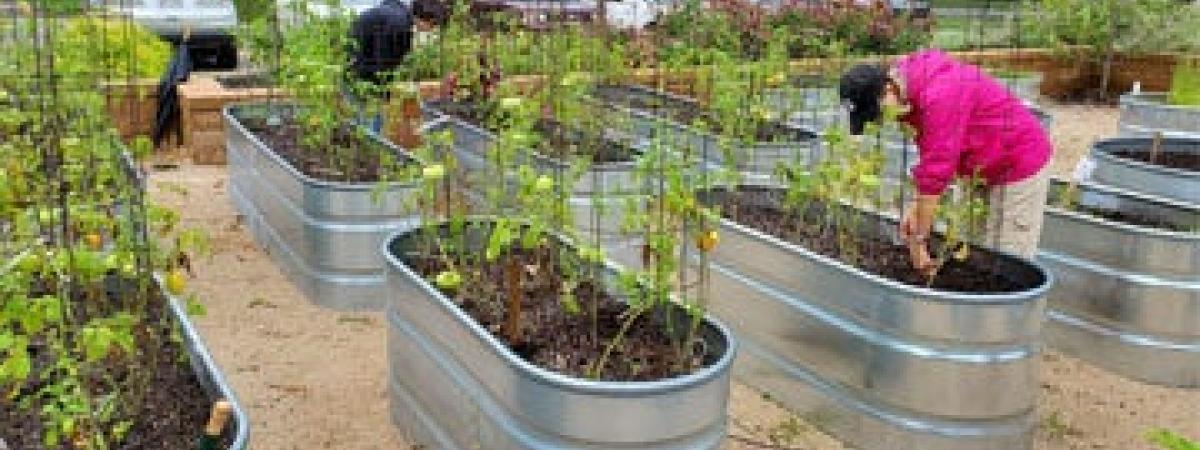 garden-case-feat