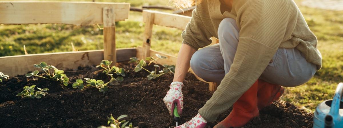 gardening-1