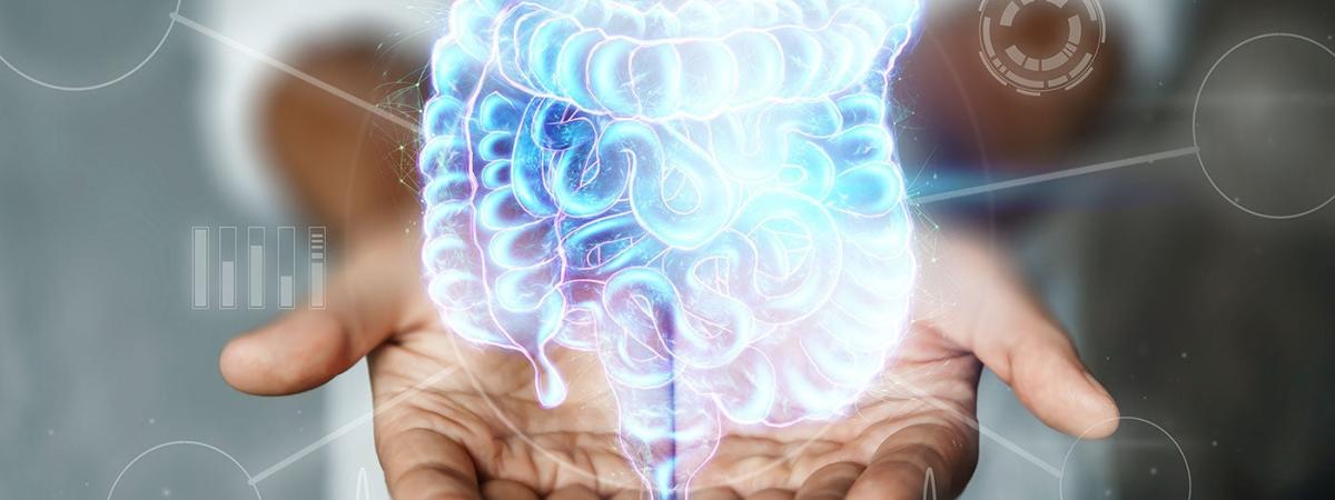 gut-health