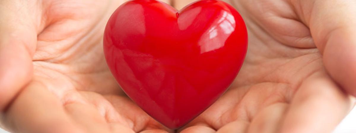 heart-in-hand