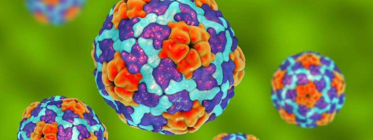 hepatitis