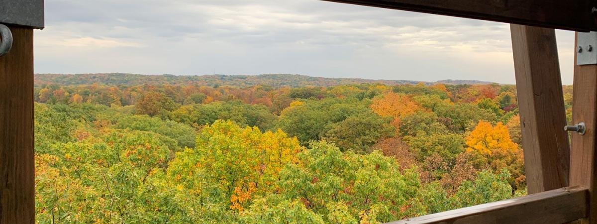 holden-arboretum-feat