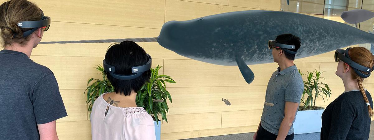 hololens_narwhal_composite