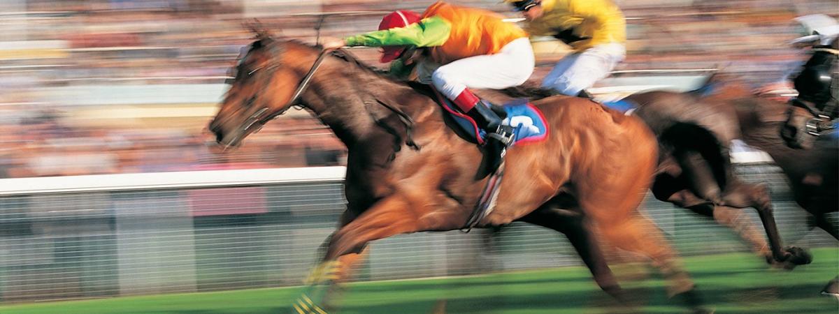 kentucky-derby-feat