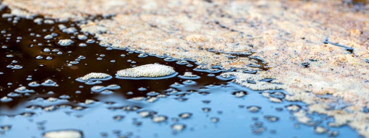 mold-floats