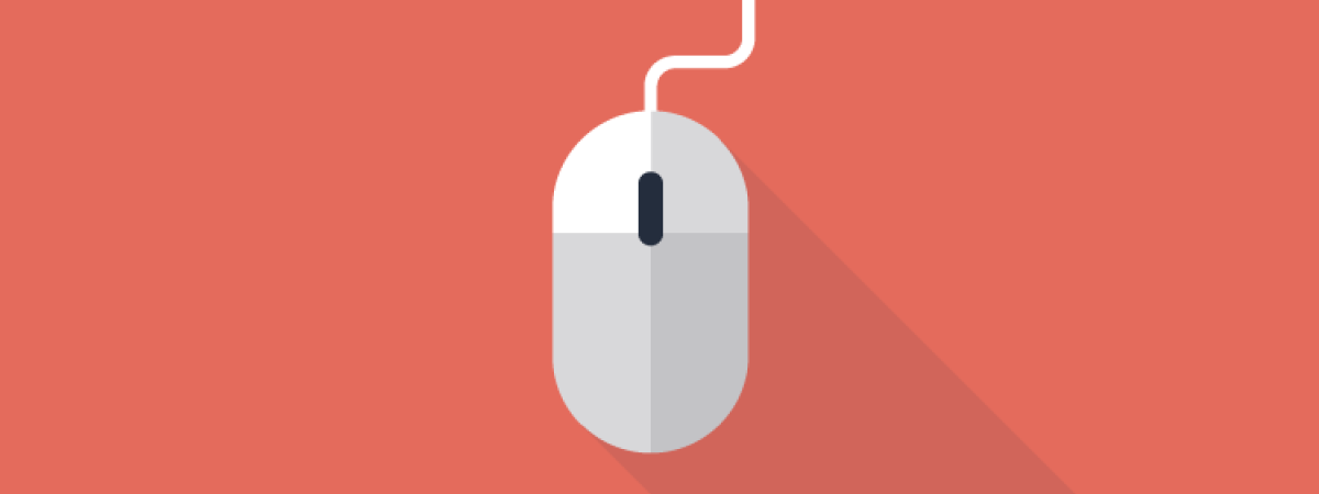 mouse